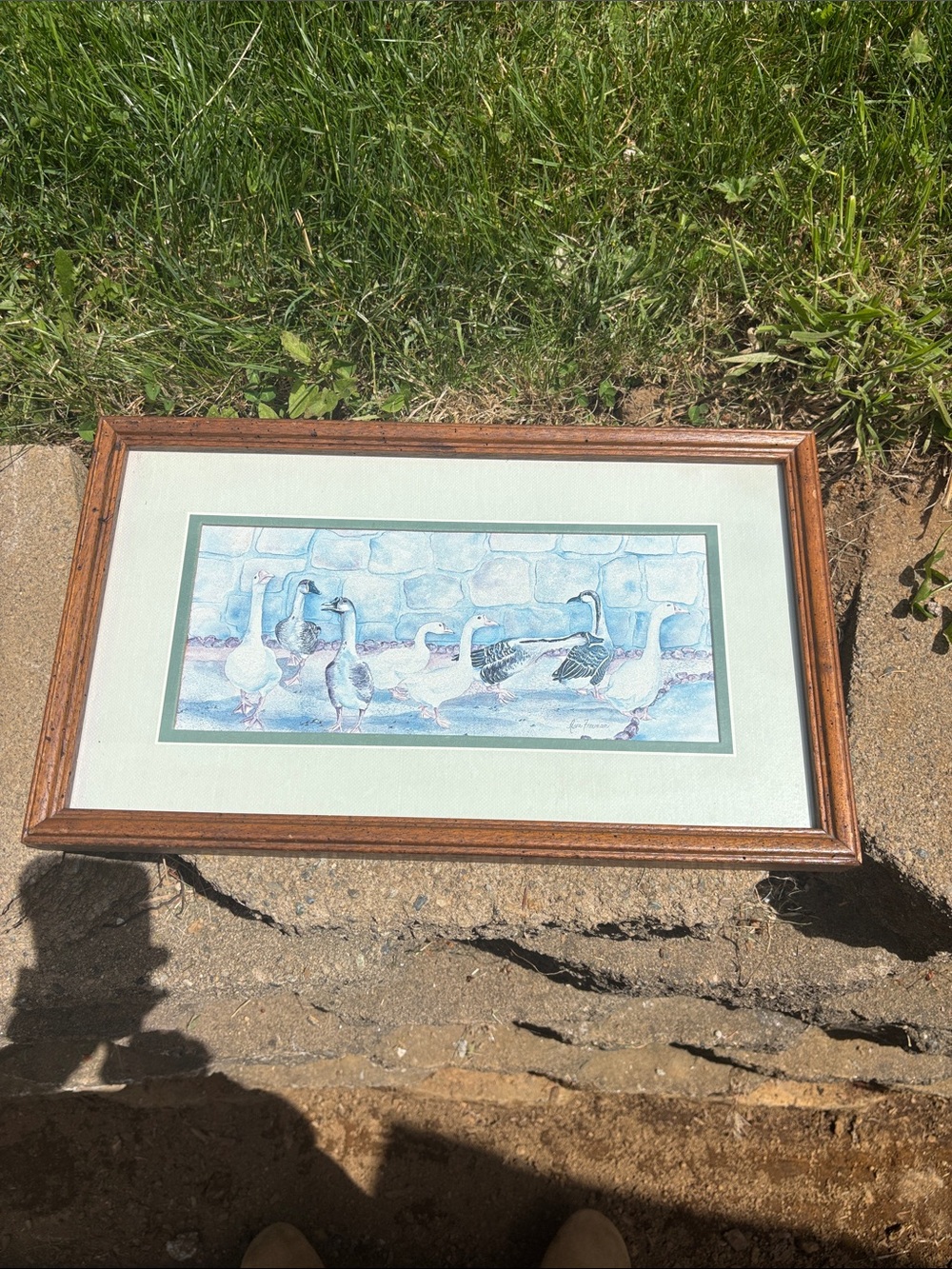 Framed Watercolor Goose Print in Light Blue & Green Mat